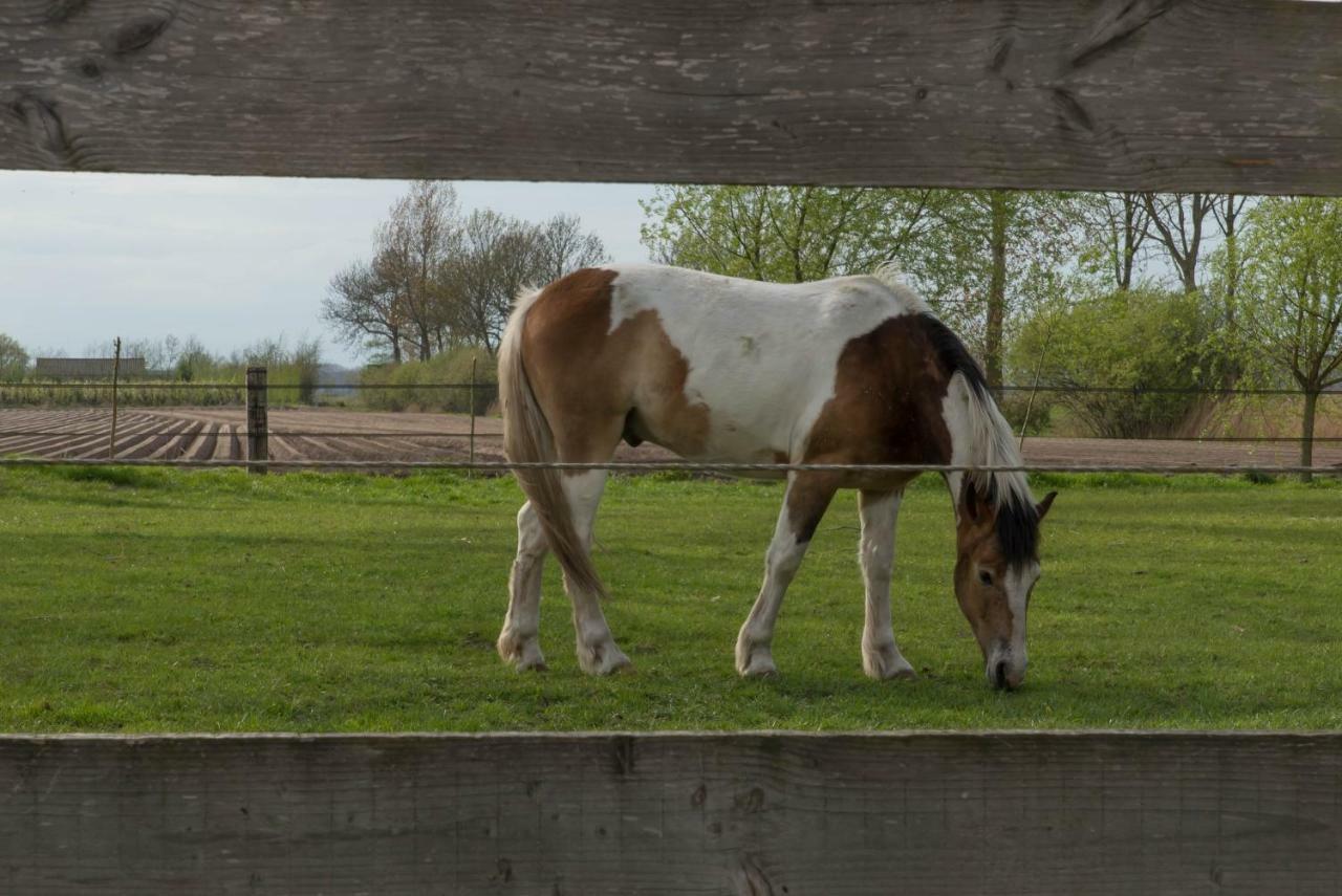 Вилла Boeren Biezen Bed Landelijk Экстерьер фото